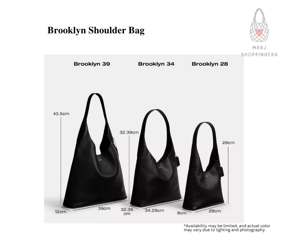 Coach Brooklyn Shoulder Bag In Loved Leather